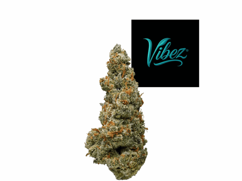 Jack Frost - Vibez