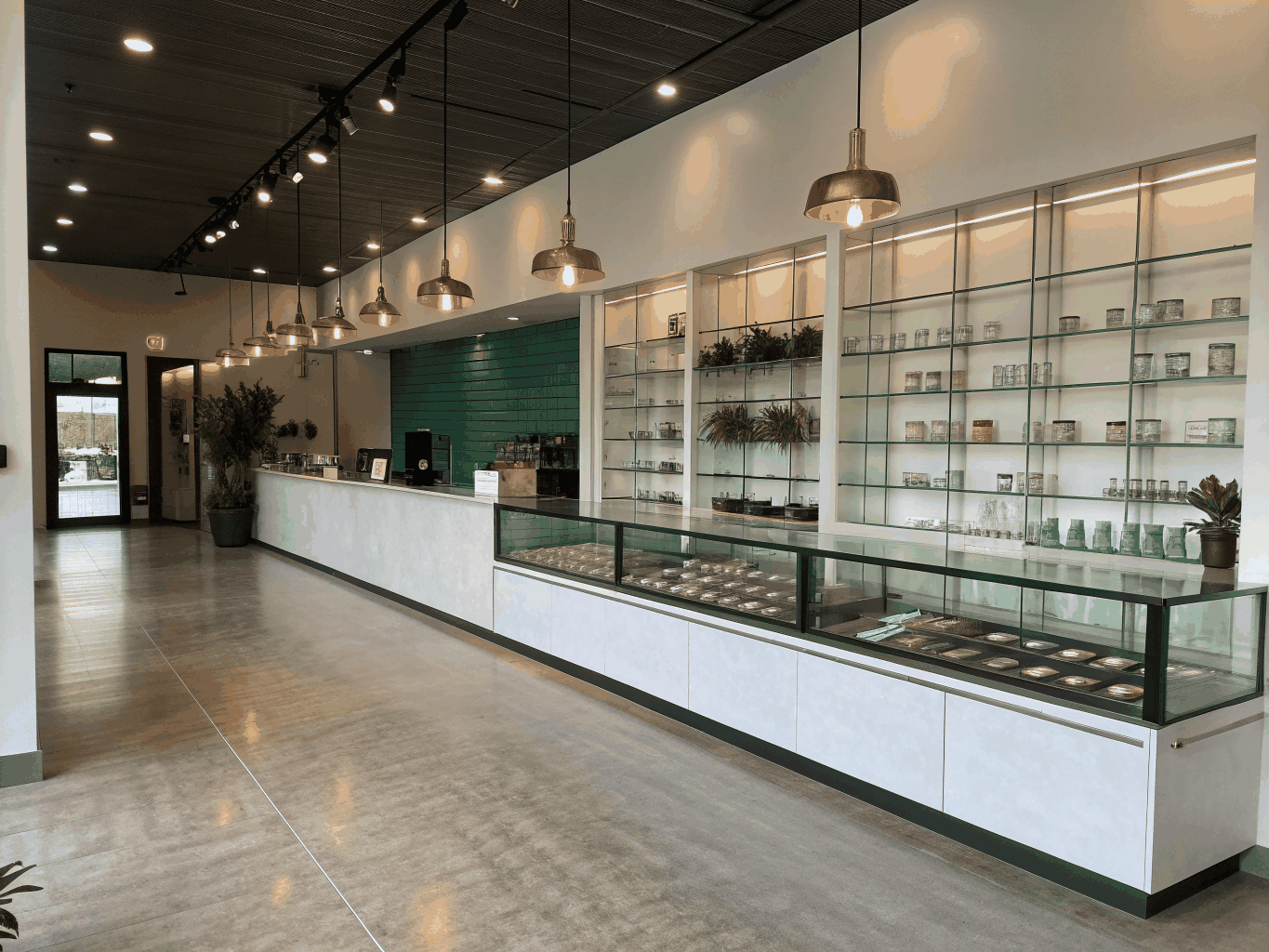 Vibez modern dispensary store experience in Washington DC